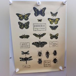 Widowspeak silkscreen poster